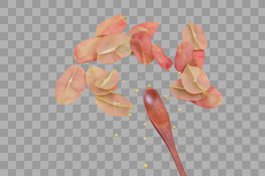 清新木勺红果种子创意摆拍图片素材免费下载