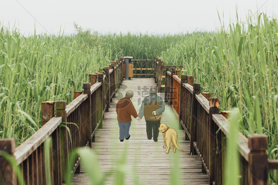 木桥上老人散步图片素材免费下载