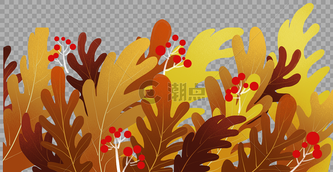 秋天植物装饰图片素材免费下载