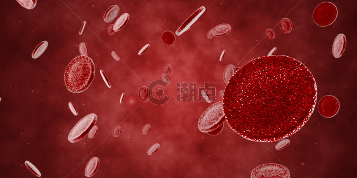 血红细胞图片素材免费下载
