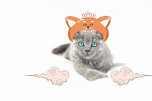 可爱猫咪挂饰图片素材免费下载