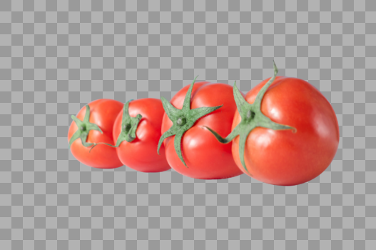 四个番茄图片素材免费下载