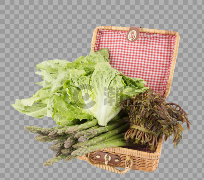 各种各样的蔬菜图片素材免费下载