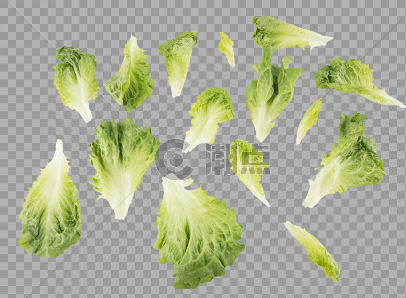 生菜绿色蔬菜图片素材免费下载