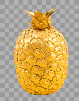 金色的菠萝图片素材免费下载