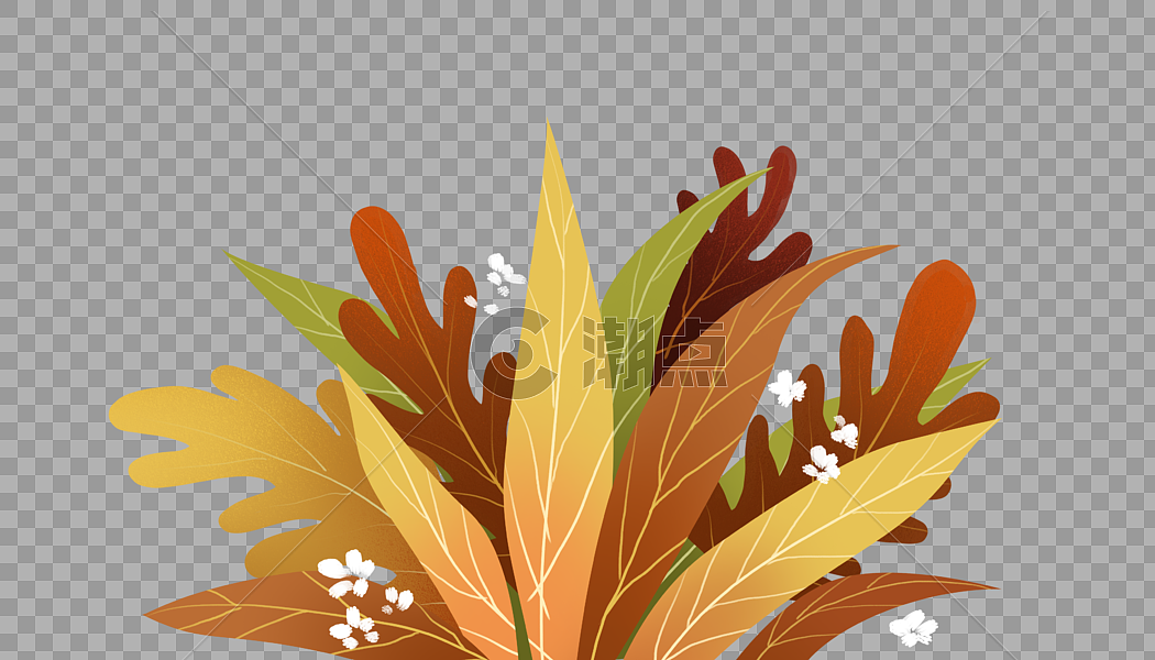 秋天植物装饰图片素材免费下载
