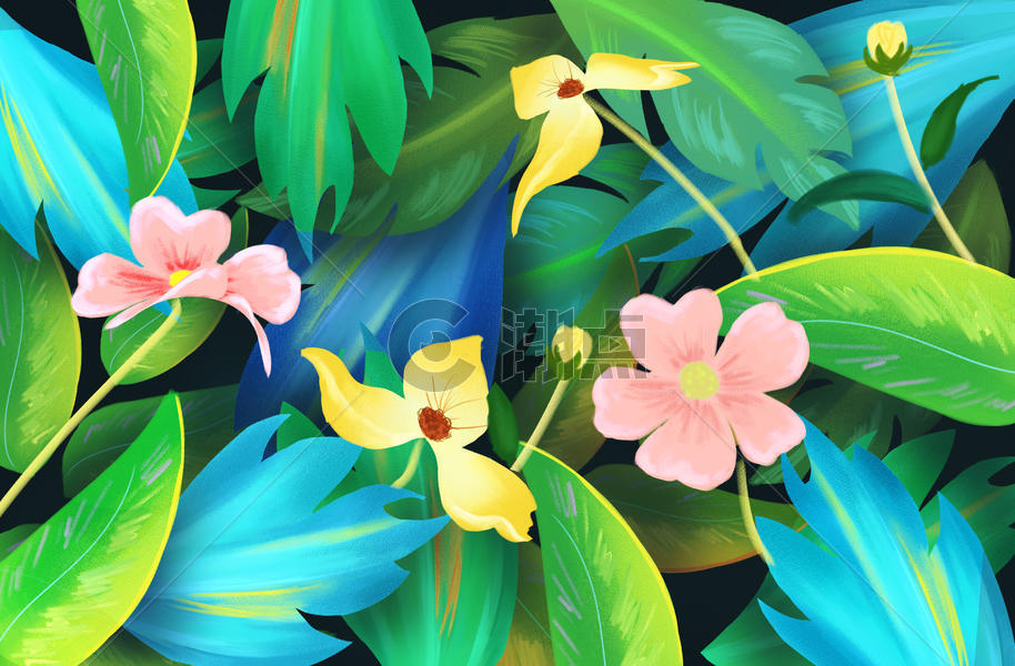 花卉植物背景图片素材免费下载