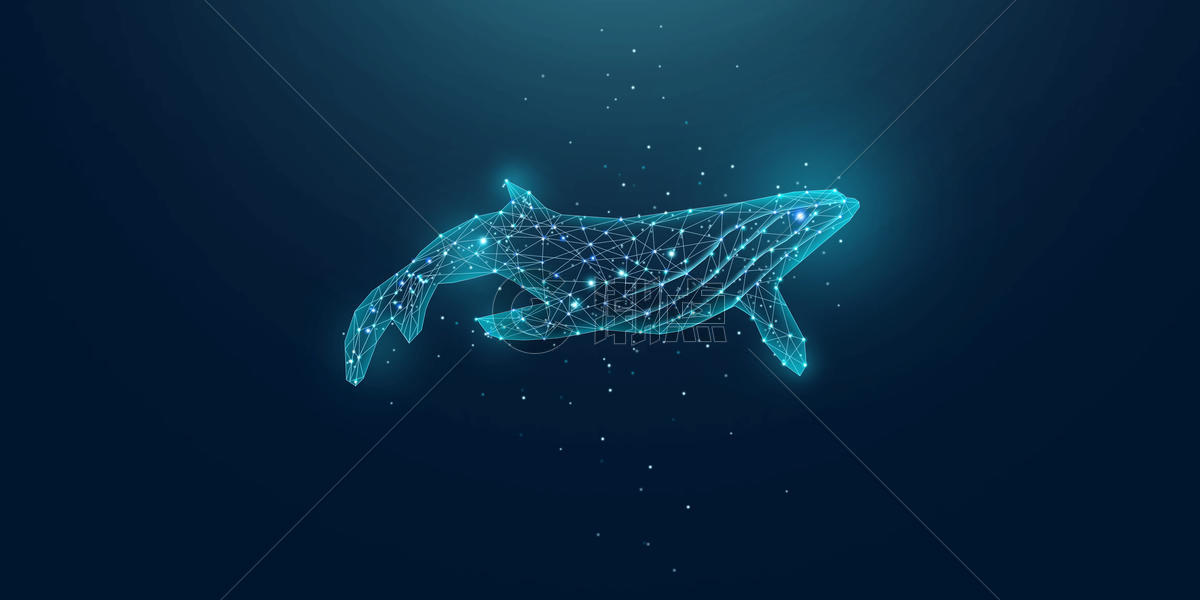海洋鲸鱼图片素材免费下载