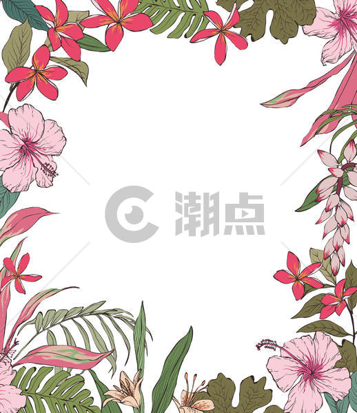 热带花卉边框图片素材免费下载