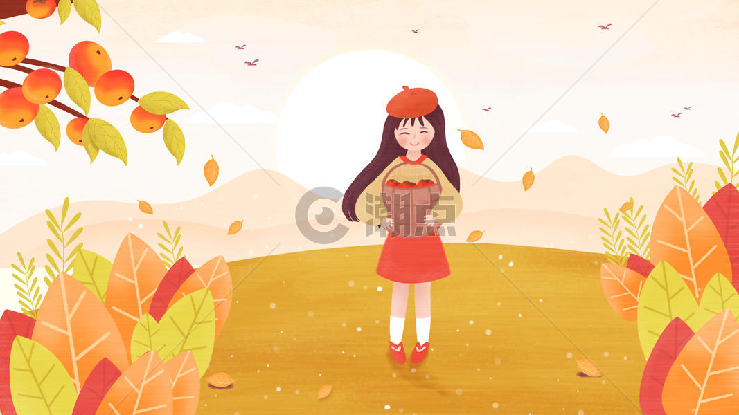 霜降女孩摘柿子插画图片素材免费下载