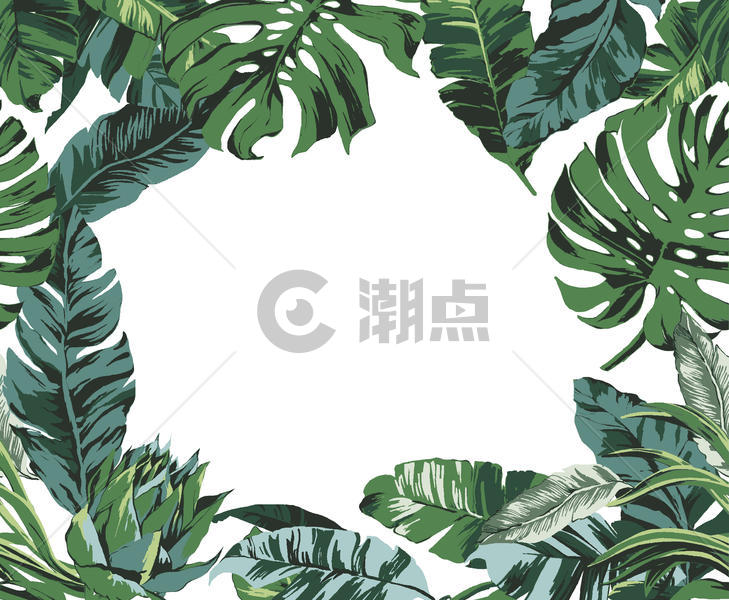 热带植物边框图片素材免费下载