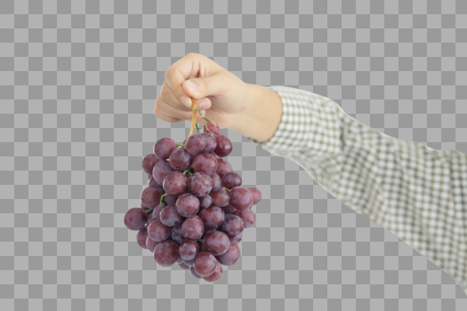 葡萄成熟丰收图片素材免费下载