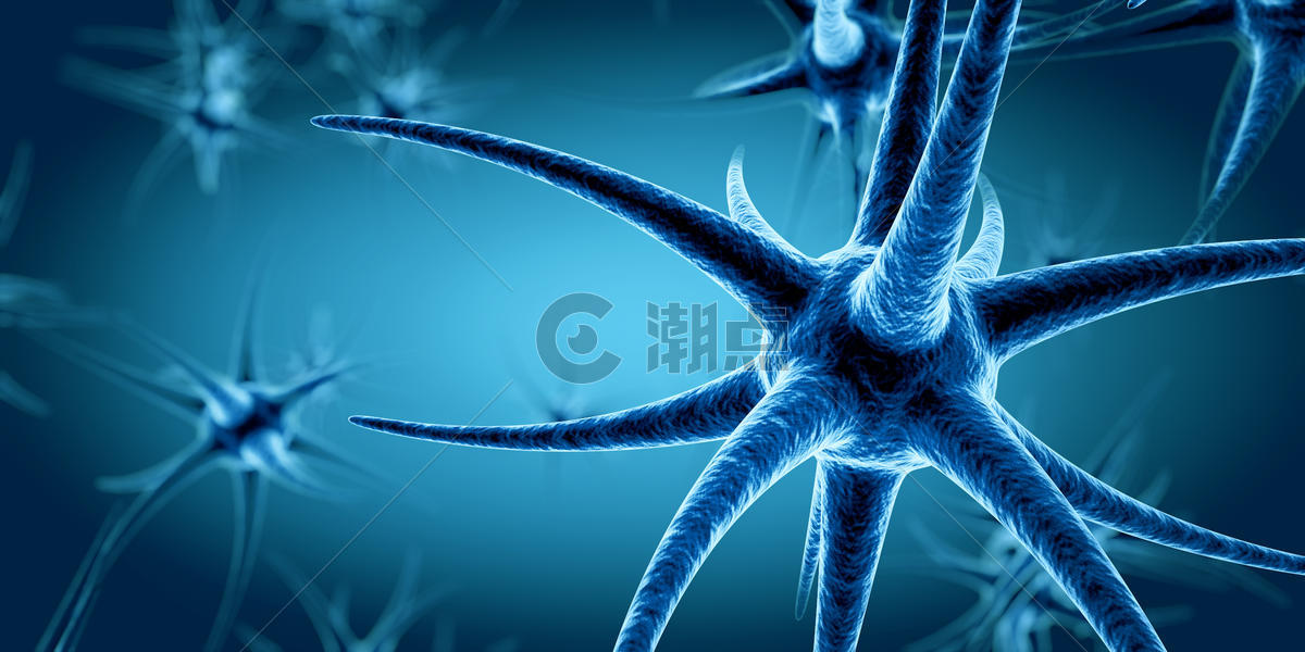 神经元细胞图片素材免费下载