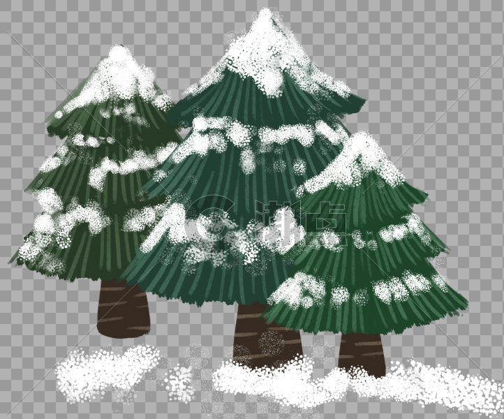 冬天的松树图片素材免费下载