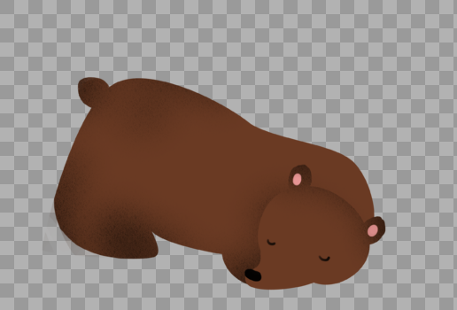 睡觉的棕熊图片素材免费下载