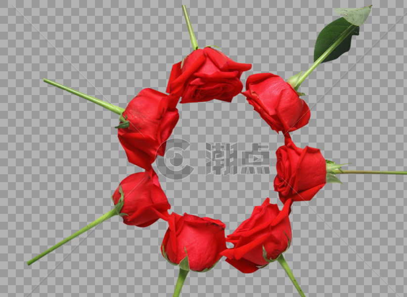 七夕情人节红玫瑰白色静物图片素材免费下载