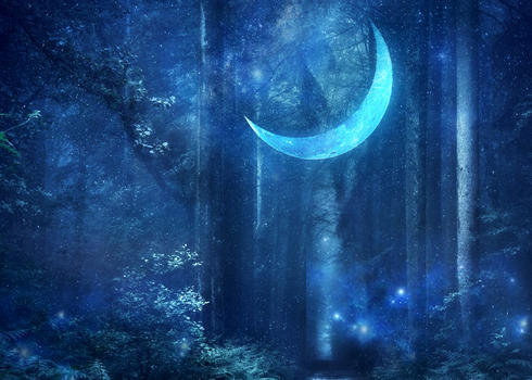 森林里的月亮图片素材免费下载