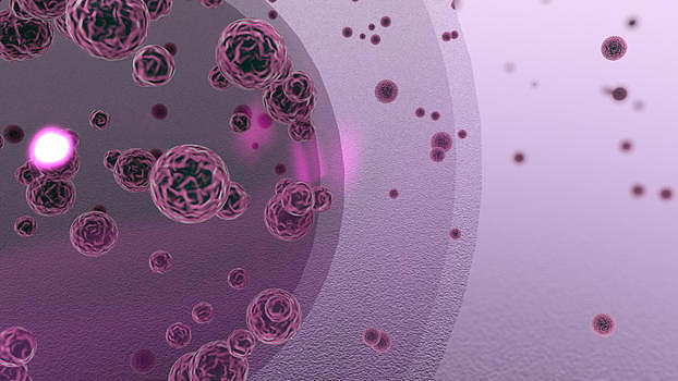 细菌细胞病毒图片素材免费下载