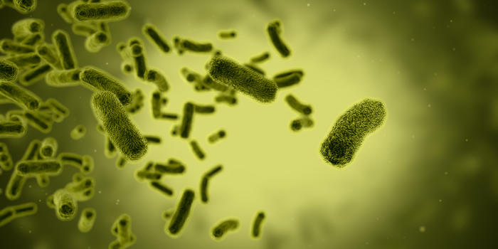细菌细胞场景图片素材免费下载