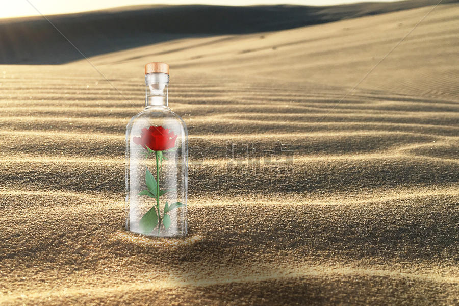 沙漠中的玫瑰图片素材免费下载