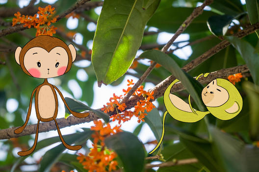 桂花树上的小猴子图片素材免费下载