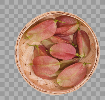 清新竹篮红果种子创意摆拍图片素材免费下载