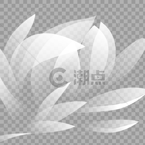 白色透明莲花花瓣图片素材免费下载