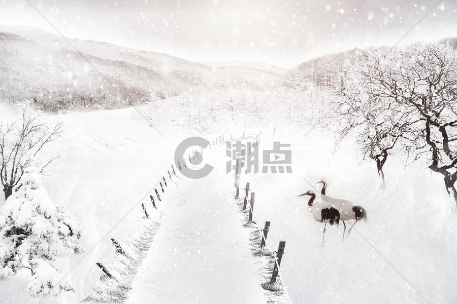 冬天的雪景图片素材免费下载