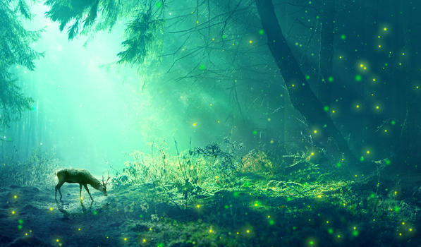 梦幻森林背景图片素材免费下载