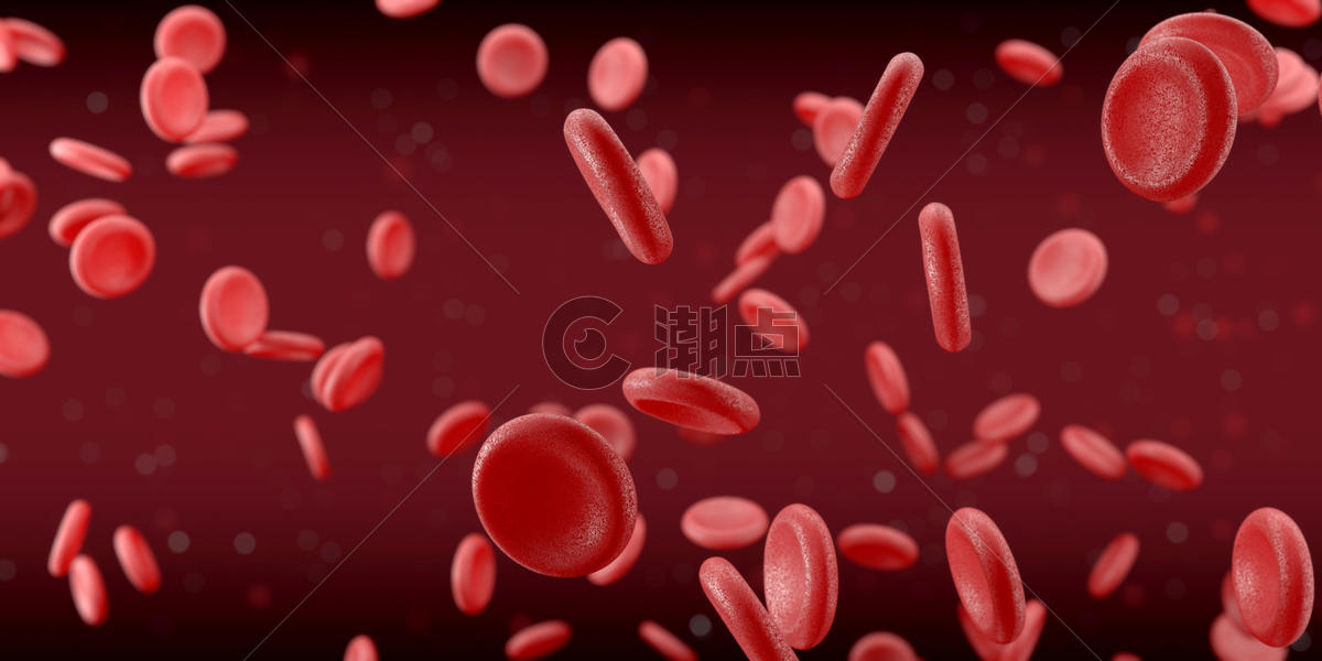 血红细胞场景图片素材免费下载
