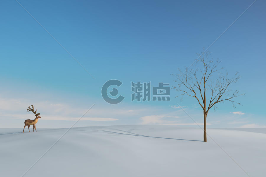 雪地里的梅花鹿图片素材免费下载