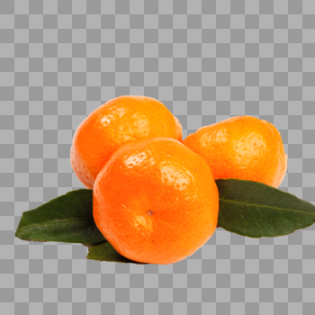 小橘子图片素材免费下载