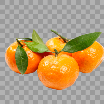 小橘子图片素材免费下载