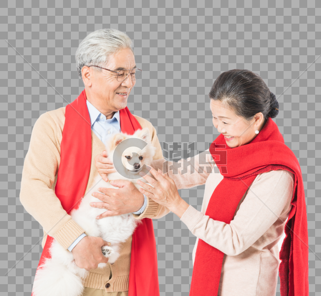 恩爱老年夫妻的宠物图片素材免费下载