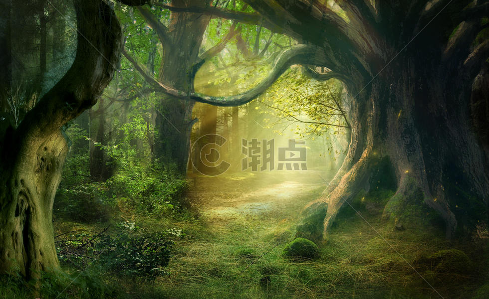 梦幻森林场景图片素材免费下载