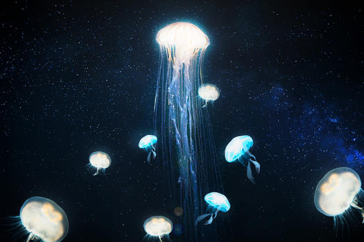 星空中的水母图片素材免费下载