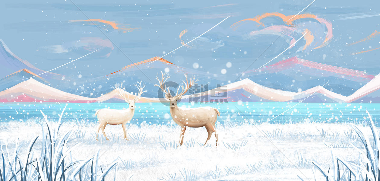 雪地里的鹿图片素材免费下载