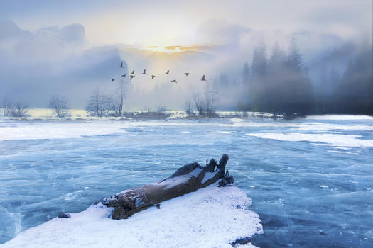 冬天冰河图片素材免费下载