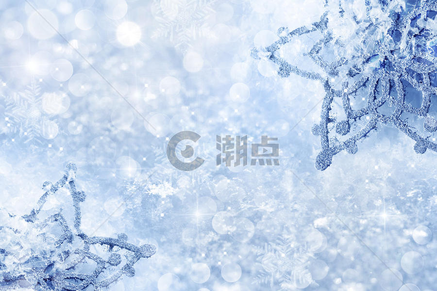 冬季的雪花图片素材免费下载