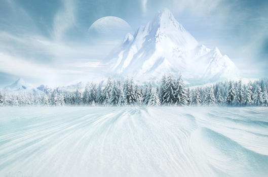冬季雪景图片素材免费下载