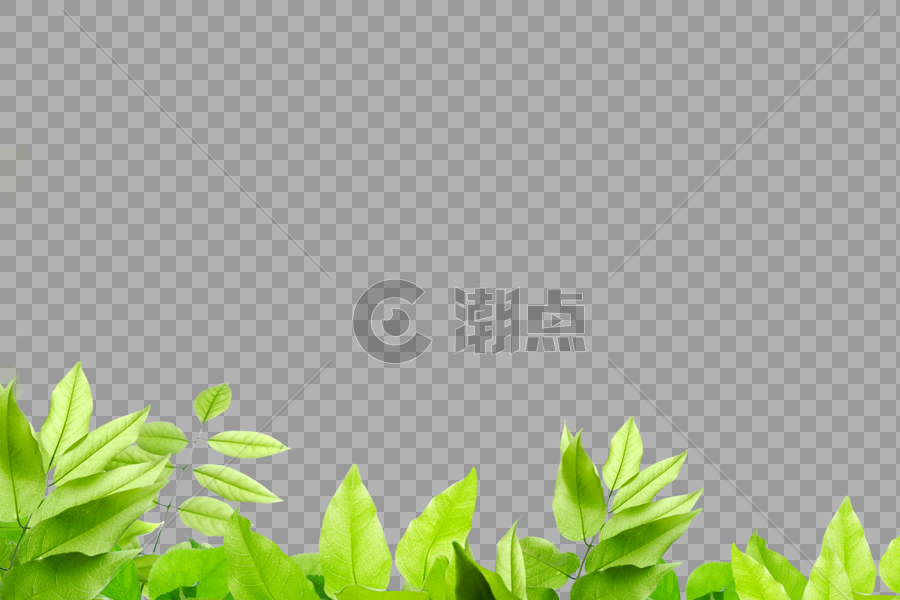 绿色树叶树丛点缀植物图片素材免费下载
