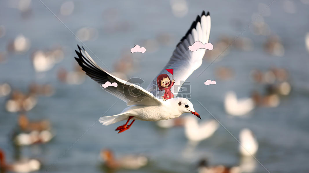 骑着海鸥的女孩图片素材免费下载
