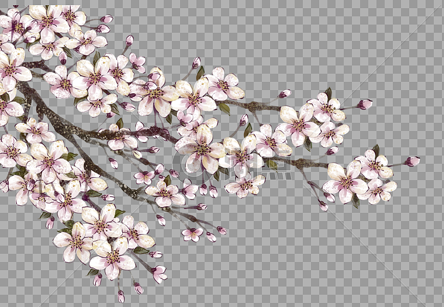 古风梅花枝设计元素2305*1592图片素材免费下载-编号232929-潮点视频