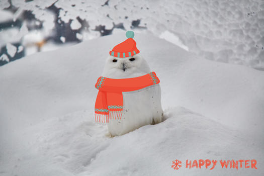 可爱冬天猫头鹰开心过冬图片素材免费下载