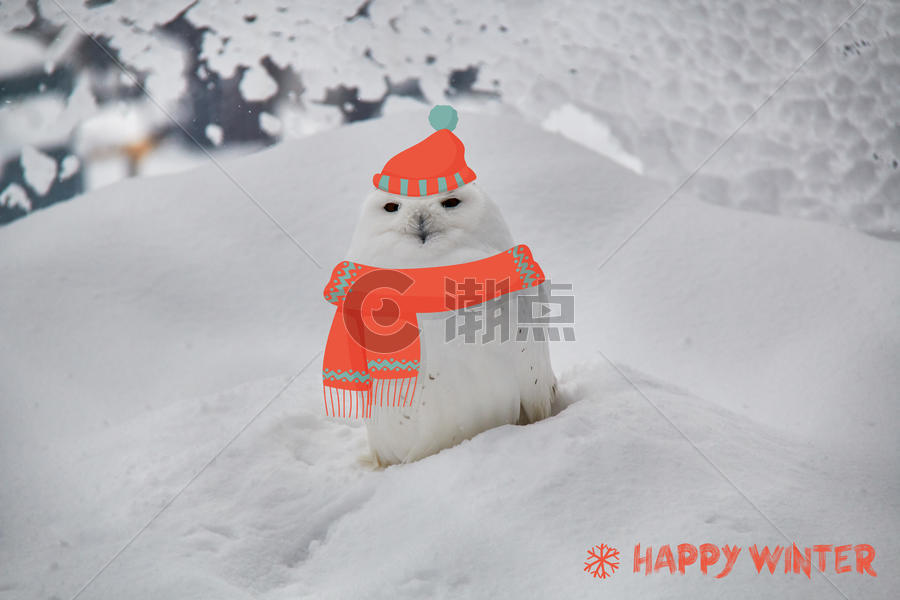 可爱冬天猫头鹰开心过冬图片素材免费下载