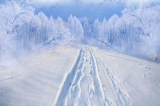 冬天雪路图片素材免费下载