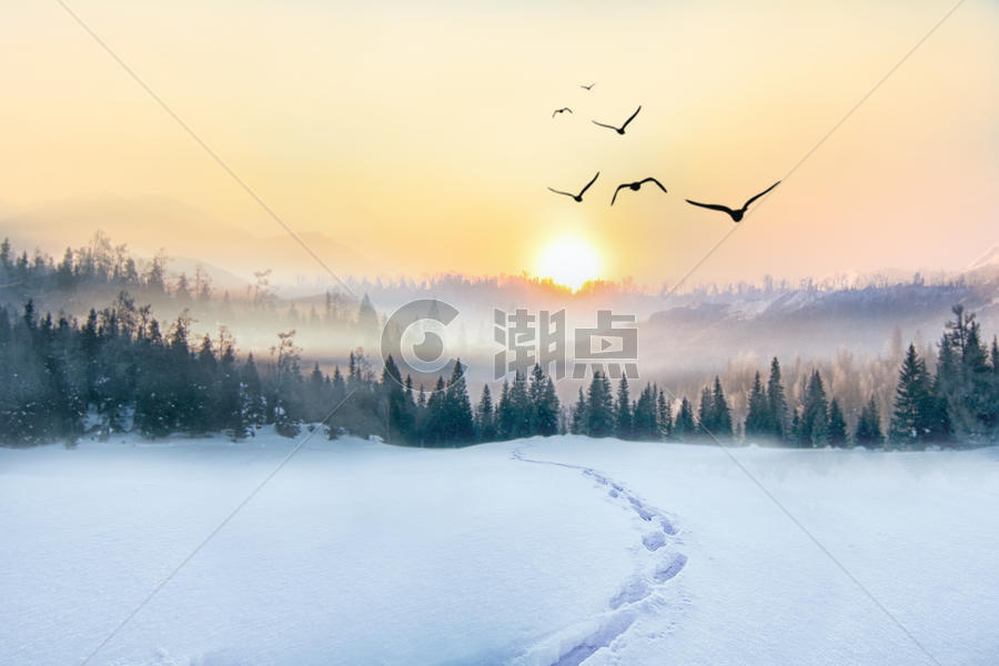 冬日雪景图片素材免费下载