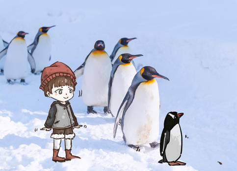 寒冷企鹅图片素材免费下载