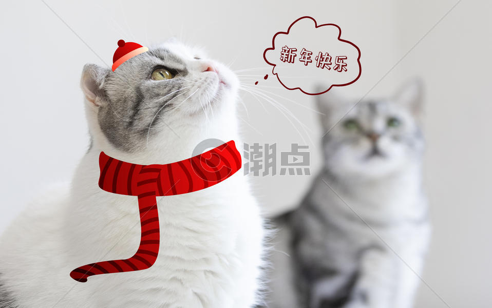 可爱小猫喜庆祝新年快乐图片素材免费下载
