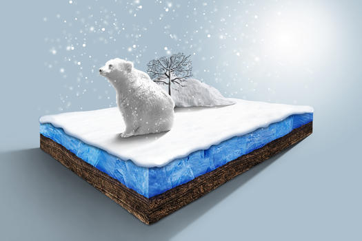 雪地里的北极熊图片素材免费下载